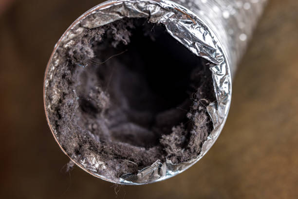 Best Duct Repair and Sealing Services in Pitola, CA